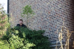 Corpus Macadam 11 * 5616 x 3744 * (10.19MB)